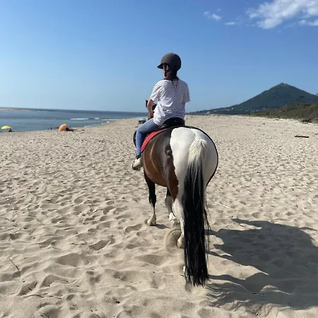 Doce Loucura Моледу