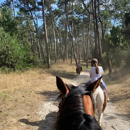 Doce Loucura Apartament *
