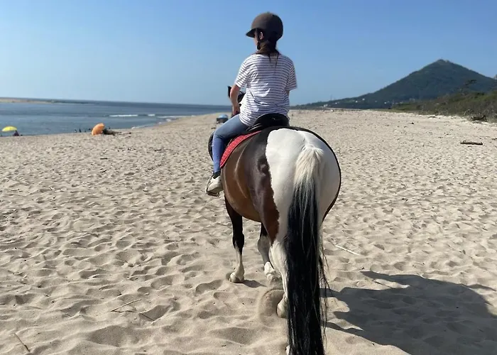 Doce Loucura 몰레도