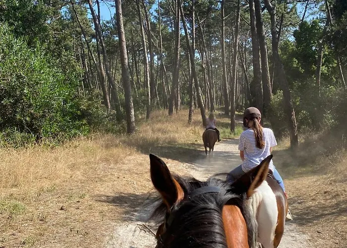 Doce Loucura 아파트 *